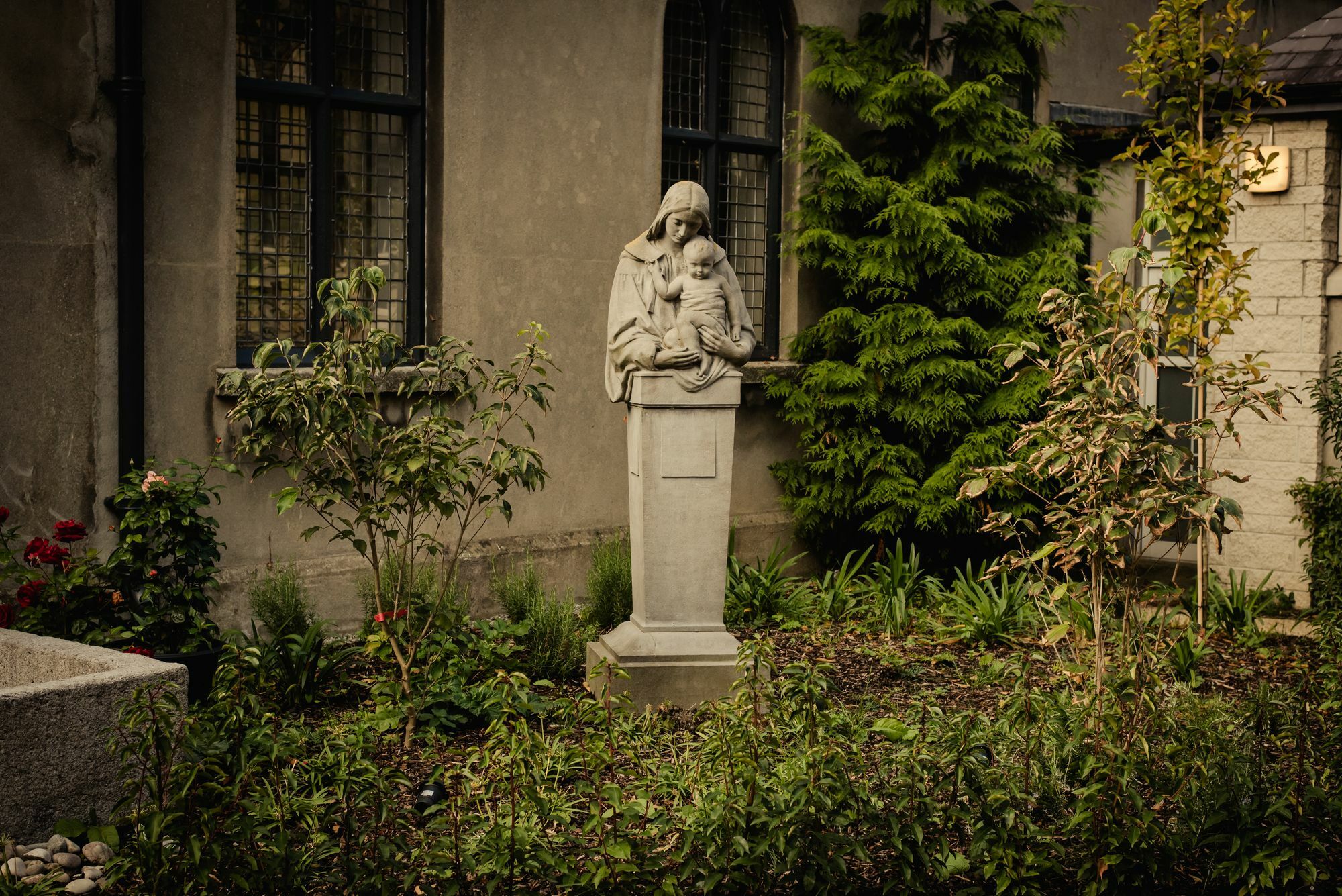 Dcu Rooms All Hallows Dublin Exterior foto
